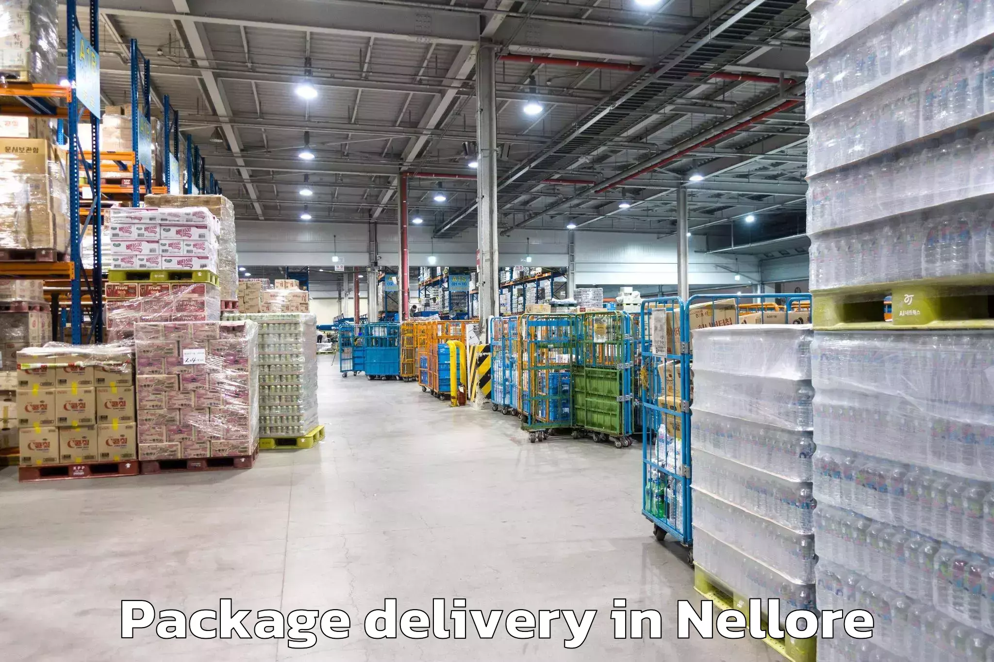 Top Package Delivery Available in Nellore, Andhra Pradesh (AP)